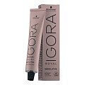 IGORA ROYAL ABSOLUTES Для седых волос перманентный крем - краситель Schwarzkopf 