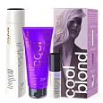 Товар Набор для волос блонд ESTEL HAUTE COUTURE LUXURY COOL BLOND (шампунь, маска, двухфазный спрей) Для женщин Товар Набор для волос блонд ESTEL HAUTE COUTURE LUXURY COOL BLOND (шампунь, маска, двухфазный спрей) Для женщин