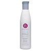 Товар Шампунь увлажняющий Berrywell Moisture Shampoo Aquaperle Шампунь