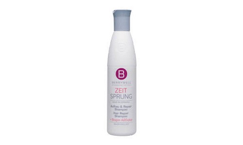 Hair Repair Шампунь восстанавливающий для поврежденных волос Berrywell Shampoo Zeitsprung Hair Repair Шампунь восстанавливающий для поврежденных волос Berrywell Shampoo Zeitsprung
